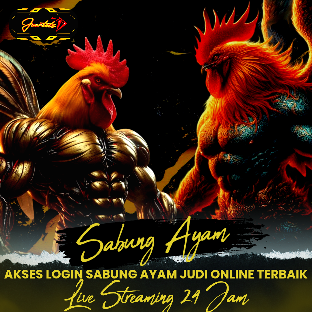 SV388: Akses Login Sabung Ayam Judi Online Terbaik Wala Meron Live Streaming 24 jam image 1