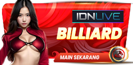 Billiard LONGTOGEL